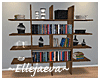 Modern Wood Book Shelves