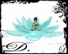 [DS]~R. Winter Lotus