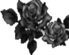 black roses vertical