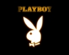 <aaa> Playboy Club