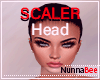 N. Perfect Scaler Head "