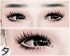 💕Lashes + Liner