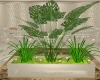 plant for gold room