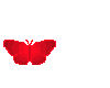  red dancing butterfly