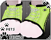 [Pets] Sneakers | Lime