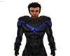 Arkham Nightwing suit