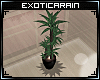 !E)Entice: Plant