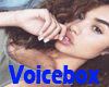 VOICCEBOX RADOM voices