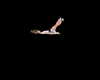 scaled changing t pose