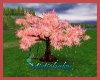 ~M~ SoHo Pink Tree