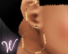 *W* Bronze Chain Earring