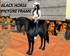 LadyLu on black horse