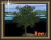 [R]PICNIC TREE
