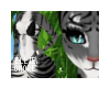 Shere - F Skin