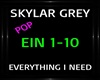S. Grey ~ Everything I N