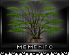 ~M~Primitive Plant 1