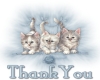 KITTEN THANK YOU