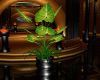 (SL) Mockasten Plant