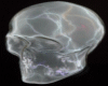 Crystal Skull Large