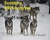 scorpions-Loving you
