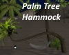 PalmTree Hammock