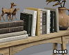 Wooden Table w/ Books