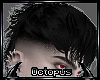 /o/ Mullet noir