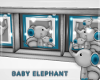 Baby elephant Art °yd°