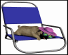 SLEEPING DOGGIE