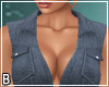 Western Denim Dress