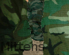 NS Woodland BDU Pants