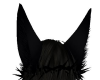 black fox ears