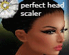 perfect  head scaler