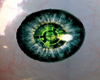 JP-Bionic Eye