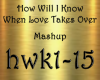 How Will I Know Mashup