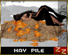 zZ Hay Pile