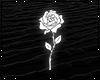 ⟐ Particle ' Rose