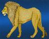 HW: Lion of Judea