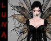 Black Fairy Wing