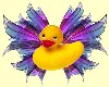 duck fairy