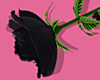Big Rose | Black