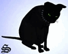 S! Black Cat