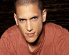 wentworth miller