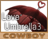 Love Umbrella V3