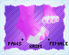 ꨄStacy Pawsꨄ