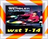 Michael Wendler-Tänzer