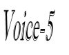 Voice-5