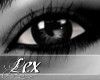 LEX eyes endless night