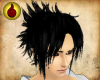 *Sasuke Perfect Hair*