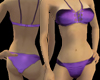 SN Katy Purple Bikini